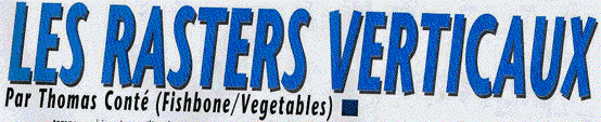 Les Rasters Verticaux