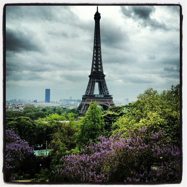 The Old Lady #paris #eiffel #tower #instagram