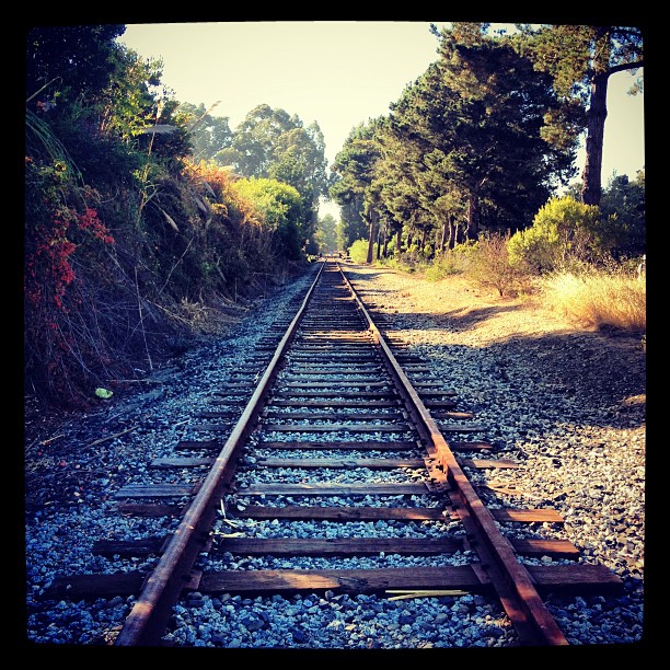 Mais c'est un raccourci je vous dis ! (Taken with Instagram at Seascape Beach Resort)