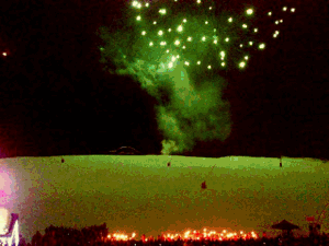 Joyeux réveillon à tous !