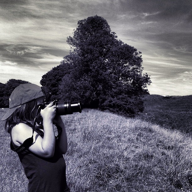 Photo hunter (at Avebury Stone Circle)