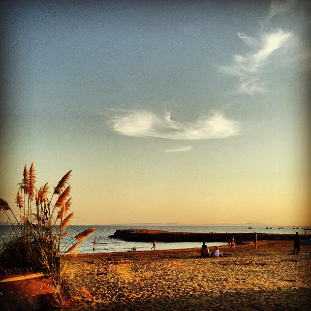 at Restaurant Le President