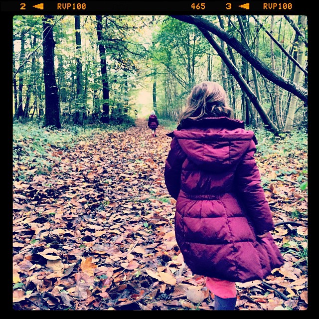 La promenade en forêt #instagood